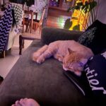 Pavitra Punia Instagram - Last night diaries. Main man missing vibes, #hisbusylife #pavitraapuniya #home #homedecor #energy