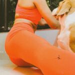Pavitra Punia Instagram – Trending with @fityogiofficial 

I am quiet picky with activewear only coz of the fit and fabric. After a lot of struggle this is my destination @fityogiofficial . From colors to fitting to designs , everything falls perfect in line for me. 

P.S – it’s not a paid partnership so everything is genuine. 
@oakpinionpr  helped me connect with @fityogiofficial .
Thank you #oakpinionpr 

#pavitraapuniya x #fityogi #fitness #exercise #lifestyle