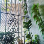 Pavitra Punia Instagram – Day off 🌸🍀🪴🌿

#pavitraapuniya #aesthetic #home #lifestyleindonesia #lifestyleasia Mumbai, Maharashtra
