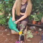 Rakhi Sawant Instagram - @rakhisawant2511Ne #tamatar ke Badhte Rate Dekh kar.. Lagaya #tamatar ka plant ! #rakhisawant #rakhisawant2511 #rakhisawantfans #tamatarplant #tamatarchaat #rakhisawantvideos #rakhisawantfanclub #instafollow