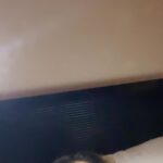 Rakhi Sawant Instagram -