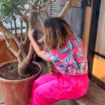 Rakhi Sawant Instagram -