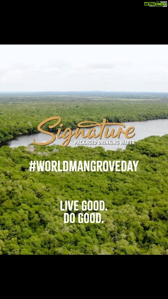 Rakul Preet Singh Instagram - This #WorldMangroveDay we bring to life the idea of living good while doing good. The mangrove regeneration project is our initiative to revive Odisha's mangrove cover across 60 acres of coastal areas in the next 5 years. Show your support by commenting with 💚 and join us to restore the Mangrove cover along our country's coastlines. #MangrovesAreGood #OnewithNatureMySignature #LiveGood #DoGood #Changemakers #GreenvibesOnly