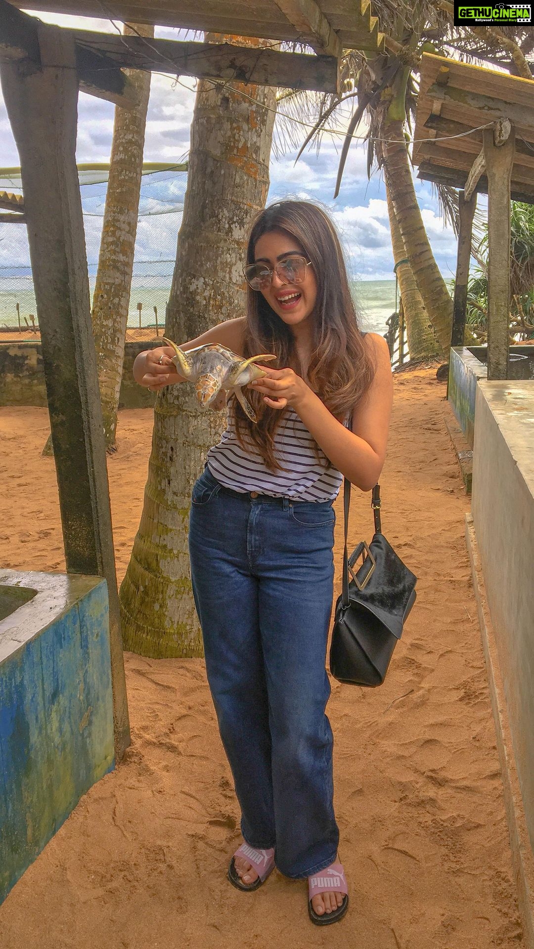 Shafaq Naaz Instagram - I don’t know if I was getting scared of them or they were getting scared of me!! Whatever that was, it was very awkward 🤦🏻♀️ Anyways enjoy the embarrassment Sri Lanka