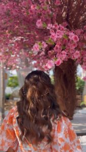 Shafaq Naaz Instagram - This song melts my heart ❤️♥️
.
.
Location - @truetrammtrunk