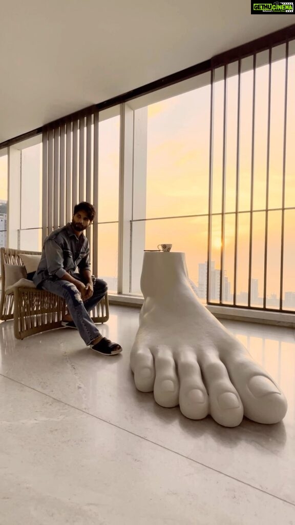 Shahid Kapoor Instagram - Sunny plotting his next move… on a sunny Sunday evening