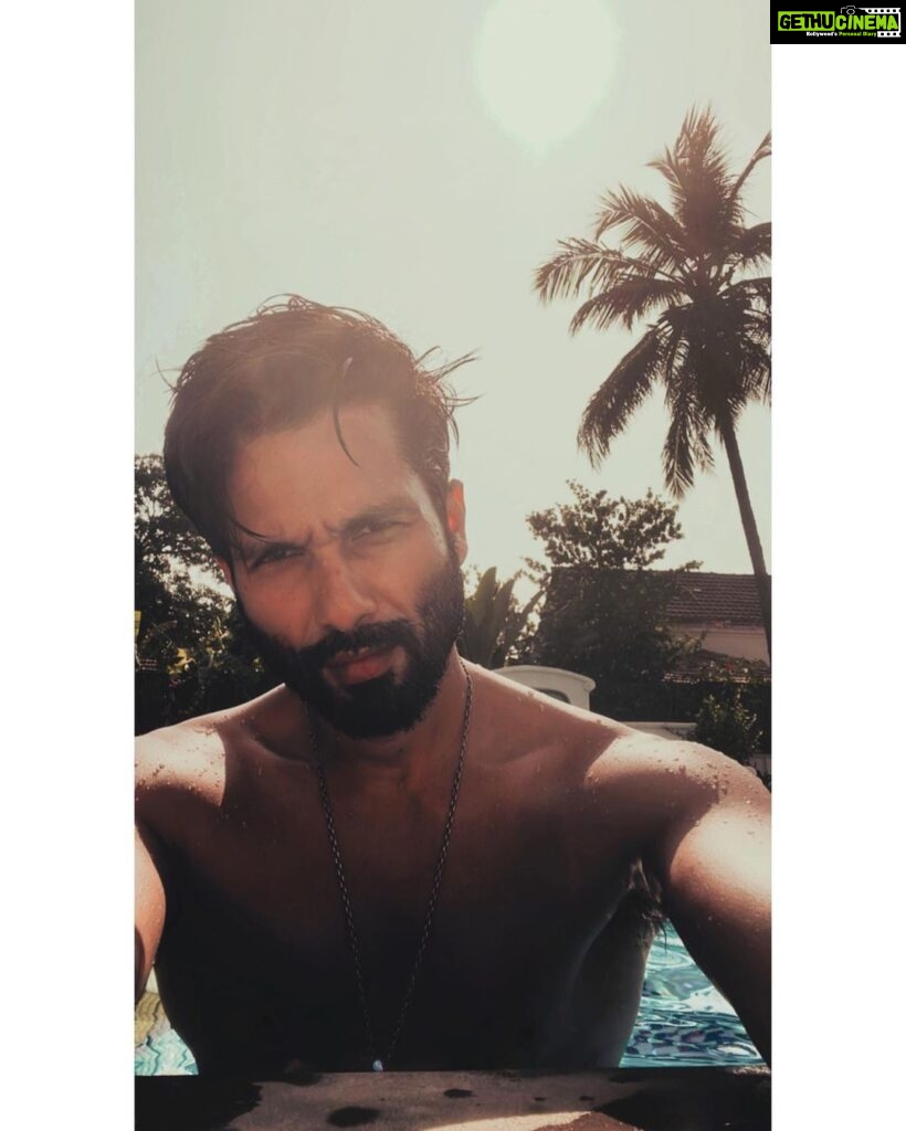 Shahid Kapoor Instagram - Keep it real and make it count. Happy new year everyone. Be worthy and thankful. Have an amazing year . 💥💕