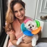 Shivshakti Sachdev Instagram - Phooling around her 🌼 #just #flowers #love #maltese #happytimes #happylove #happiness #maltese #mine