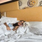 Shivshakti Sachdev Instagram - Love how properties are taking initiative and becoming Pet-Friendly. Since the time we got Ellie home we were so sure that we want to Take her everywhere with us and now we can see the change. She loves traveling!! @novotelpune #staycation #petfriendly #love #happiness #family #mornings