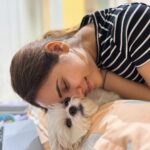 Shivshakti Sachdev Instagram - No Monday Blues Because I have you 🧿 You can't miss the last picture! #maltese #love #mybaby #true #everything #mondaymood