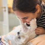Shivshakti Sachdev Instagram - No Monday Blues Because I have you 🧿 You can't miss the last picture! #maltese #love #mybaby #true #everything #mondaymood