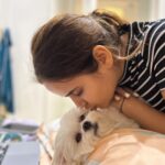 Shivshakti Sachdev Instagram - No Monday Blues Because I have you 🧿 You can't miss the last picture! #maltese #love #mybaby #true #everything #mondaymood
