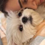 Shivshakti Sachdev Instagram - No Monday Blues Because I have you 🧿 You can't miss the last picture! #maltese #love #mybaby #true #everything #mondaymood