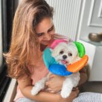 Shivshakti Sachdev Instagram - Phooling around her 🌼 #just #flowers #love #maltese #happytimes #happylove #happiness #maltese #mine