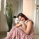 Shivshakti Sachdev Instagram - Happy HomeComing my Whole Heart 💜 @ielliethemaltese You came to our lives and added colors that we never knew about, you came to our lives and made us feel emotions we never knew existed, you came to our lives and made it all about YOU !! We are Grateful, You are truly my God Sent Angel !!! I love you to the moon and back !! #blessed #maltesepuppies #malteseofig #maltesedogs #homecoming
