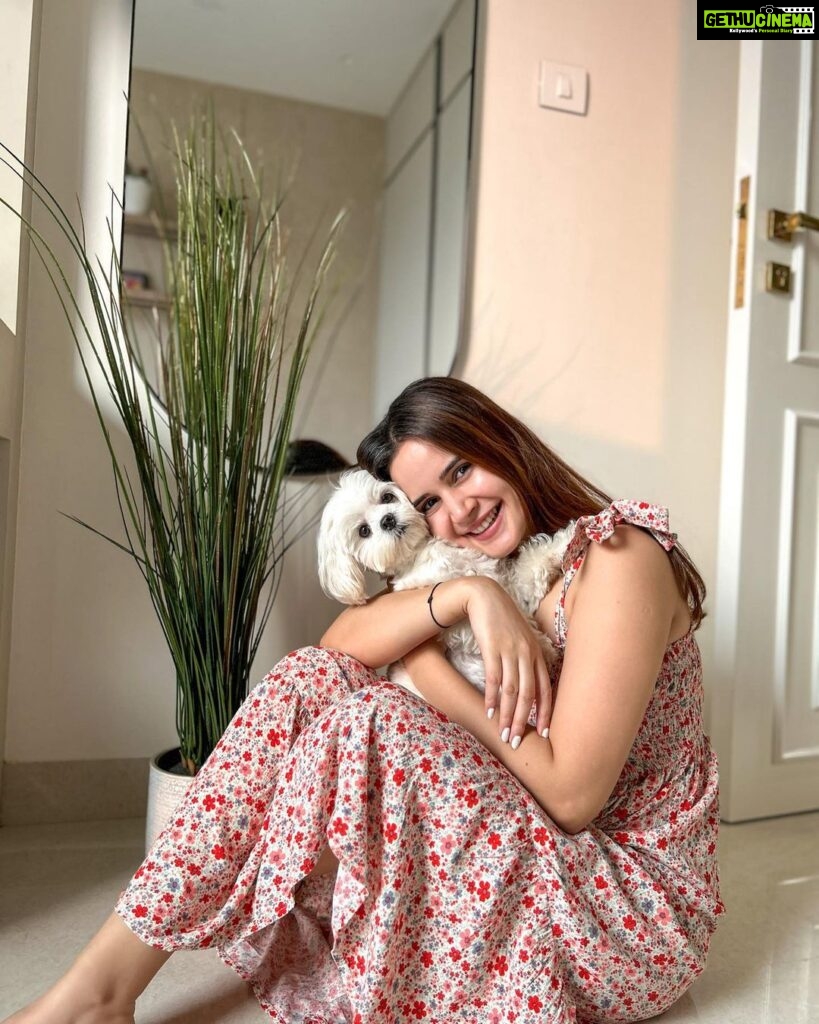 Shivshakti Sachdev Instagram - Happy HomeComing my Whole Heart 💜 @ielliethemaltese You came to our lives and added colors that we never knew about, you came to our lives and made us feel emotions we never knew existed, you came to our lives and made it all about YOU !! We are Grateful, You are truly my God Sent Angel !!! I love you to the moon and back !! #blessed #maltesepuppies #malteseofig #maltesedogs #homecoming