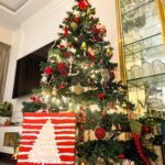 Shivshakti Sachdev Instagram - My Favourite Time of the Year is here♥️ Merry Christmas Everyone!!! "be a light for all to see" Matthew 5:16 #christmasfeeling #itschristmas #readyforchristmas #christmasjoy #xmasdecorations #itsthattimeofyear