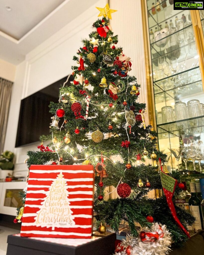 Shivshakti Sachdev Instagram - My Favourite Time of the Year is here♥️ Merry Christmas Everyone!!! "be a light for all to see" Matthew 5:16 #christmasfeeling #itschristmas #readyforchristmas #christmasjoy #xmasdecorations #itsthattimeofyear