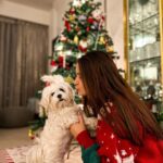 Shivshakti Sachdev Instagram - My Favourite Time of the Year is here♥️ Merry Christmas Everyone!!! "be a light for all to see" Matthew 5:16 #christmasfeeling #itschristmas #readyforchristmas #christmasjoy #xmasdecorations #itsthattimeofyear