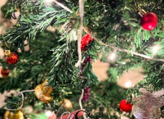 Shivshakti Sachdev Instagram - My Favourite Time of the Year is here♥️ Merry Christmas Everyone!!! "be a light for all to see" Matthew 5:16 #christmasfeeling #itschristmas #readyforchristmas #christmasjoy #xmasdecorations #itsthattimeofyear