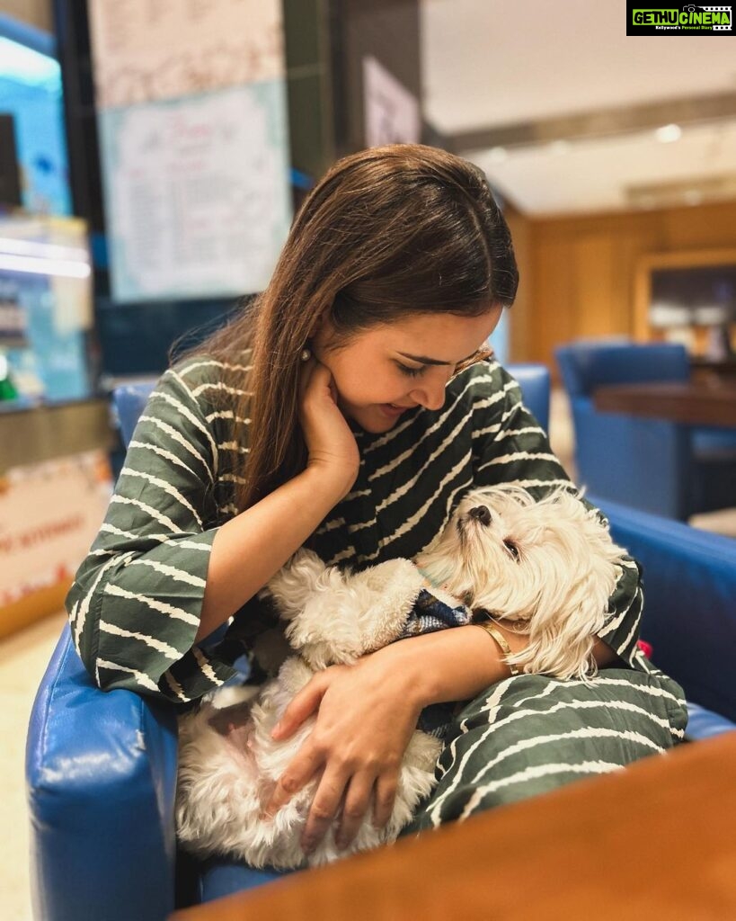 Shivshakti Sachdev Instagram - Love how properties are taking initiative and becoming Pet-Friendly. Since the time we got Ellie home we were so sure that we want to Take her everywhere with us and now we can see the change. She loves traveling!! @novotelpune #staycation #petfriendly #love #happiness #family #mornings