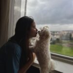 Shivshakti Sachdev Instagram - Love how properties are taking initiative and becoming Pet-Friendly. Since the time we got Ellie home we were so sure that we want to Take her everywhere with us and now we can see the change. She loves traveling!! @novotelpune #staycation #petfriendly #love #happiness #family #mornings