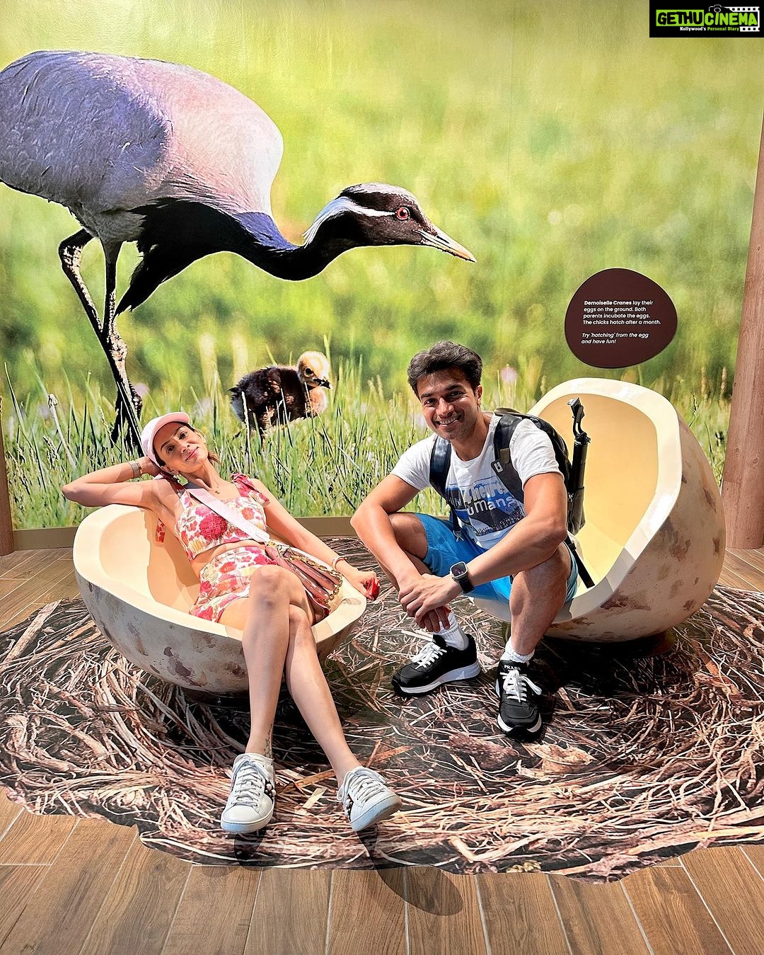 Smriti Khanna Instagram - It was a nostalgic trip and unforgettable experience in the beautiful realm of Bird Paradise in Singapore: The newly opened park has 8 immersive walk-through aviaries with over 3,500 birds. We watched the birds from across the world in their naturally designed habitats. The Wings of the World and Predators on Wings presentations at the Sky Amphitheatre left us in sheer amazement. You can also stand a chance to win a flight to Singapore and experience the all-new Bird Paradise at Mandai Wildlife Reserve. Head over to the pinned contest post on @mandaiwildlifereserve to join before the contest ends on 7 August. #TakeMeToParadise #BirdParadise @visit_singapore
