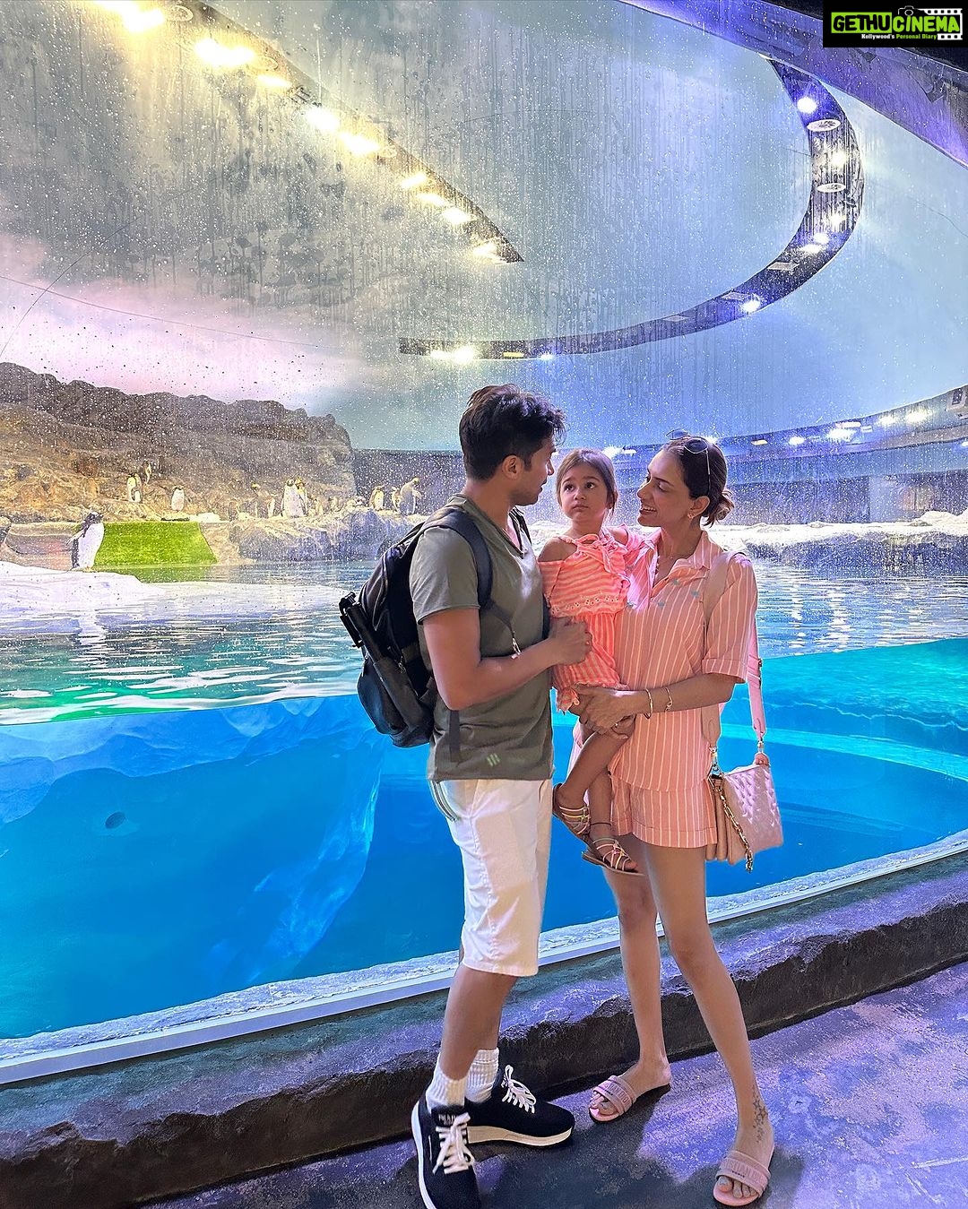 Smriti Khanna Instagram - It was a nostalgic trip and unforgettable experience in the beautiful realm of Bird Paradise in Singapore: The newly opened park has 8 immersive walk-through aviaries with over 3,500 birds. We watched the birds from across the world in their naturally designed habitats. The Wings of the World and Predators on Wings presentations at the Sky Amphitheatre left us in sheer amazement. You can also stand a chance to win a flight to Singapore and experience the all-new Bird Paradise at Mandai Wildlife Reserve. Head over to the pinned contest post on @mandaiwildlifereserve to join before the contest ends on 7 August. #TakeMeToParadise #BirdParadise @visit_singapore