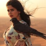 Soundariya Nanjundan Instagram - Ruling the sand with grace and strength 🦅 🏜️ 🎥 - @bhoopalm_official Outfit- @sankalptheboutique #styledbyme ✨ 🏜️ 🏜️ 🏜️ 🏜️ 🏜️ #soundariyananjundan #desert #travel #nature #photography #desertlife #travelphotography #adventure #love #landscape #sunset #dubai #photooftheday #instagood #sahara #instagram #art #travelgram #sand #explore #uae #naturephotography #uae #instagood #mountains #dubaidesert #instalike #desertvibes #fashion #fashionblogger #photooftheday #photography #instagood #instalike #likesforlike Dubai Desert Safari