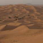 Soundariya Nanjundan Instagram - Black and the desert: a striking contrast of colors 🖤 🐪 📸- @bhoopalm_official 🐪 🐪 🐪 🐪 🐪 🐪 #soundariyananjundan #desert #travel #nature #photography #desertlife #travelphotography #adventure #instalike #love #instadaily #sunset #dubai #photooftheday #instagood #sahara #instagood #followforfollowback #art #travelgram #sand #explore #naturephotography #uae #model #mountains #wanderlust #photo #instagram #desertvibes