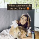 Tina Datta Instagram - Every one who faces this, please raise your hands! . . . #FamilyDatta #FamilySunday #petlovers #EklaChaloRe #WarriorPrincess #feelkaroreelkaro #feelitreelit #reels #petstagram #dogsofinstagram #petlife #familytime #love #goodvibes #explorepage #tinadatta
