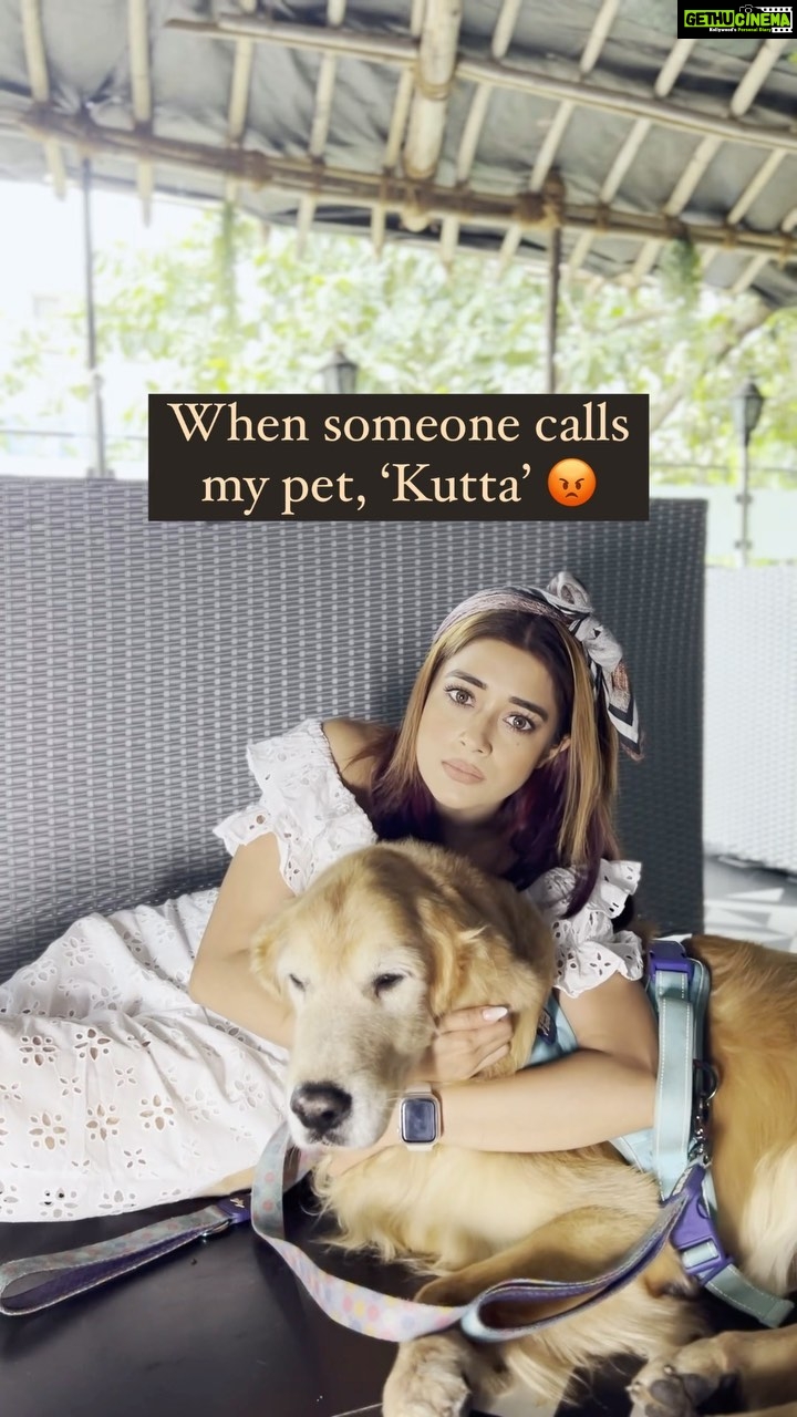Tina Datta Instagram - Every one who faces this, please raise your hands! . . . #FamilyDatta #FamilySunday #petlovers #EklaChaloRe #WarriorPrincess #feelkaroreelkaro #feelitreelit #reels #petstagram #dogsofinstagram #petlife #familytime #love #goodvibes #explorepage #tinadatta
