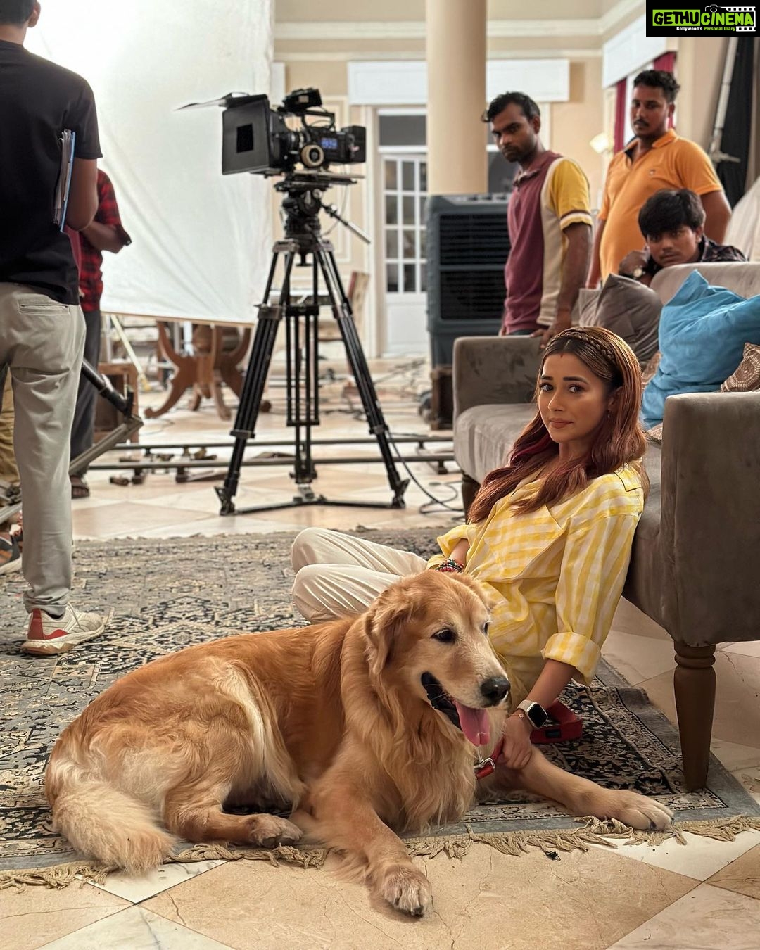 Tina Datta Instagram - “Most of us have been told angels have wings, some of us have learned they have paws!” . . . #FamilyDatta #FamilySunday #EklaChaloRe #WarriorPrincess #HumRaheNaRaheHum #dogsofinstagram #petlovers #doglover #tinadatta