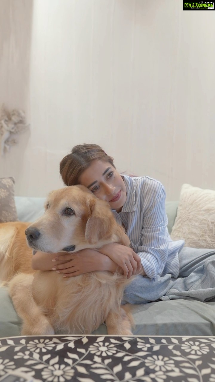 Tina Datta Instagram - βMy Bruno is just paw-fect , wagging tails and unconditional love.βππ Forever can be a myth but with us, itβs an amazing feeling! Just like my friend #CharlieFurever! Watch the World Television Premiere of 777 Charlie on 27th May, 8 PM only on Colors Cineplex. . . #777CharlieOnColorsCineplex #CharlieFurever #777Charlie #Dogs #DogLover #DogsOfInstagram #Dogstagram #DogsAndPals #ColorsCineplex #AD #TinaDatta