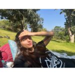 Tripti Dimri Instagram – New Year’s photo dump ✨💕🥹