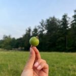 Tripti Dimri Instagram – 🕊️
