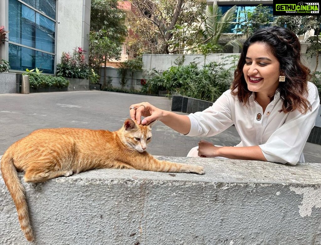 Vaidehi Parashurami Instagram - Me : Meow Meow : Meowwww Me : Meow Meow Meow : Meowwwwww P.S : This is a private conversation which only the two of us will understand! 😻 #wonderfulwednesday #catsarecute #meow #meowmeow