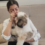 Varalaxmi Sarathkumar Instagram - Monday Madness... Just for laughs..(also may be true..🤣🤣🤣) Have a wonderful week.. 😘😘😘 #funnyvideos #reels #instagood #shitzu #dogsofinstagram #dogstagram #puppylove #puppy #monday #haveagoodweek #mondayvibes #instagram #funnyreels #justforlaughs Hyderabad