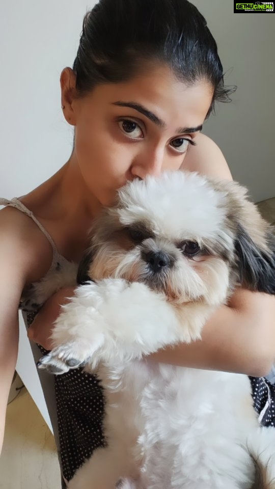 Varalaxmi Sarathkumar Instagram - Happiest birthday to the bestest mommy in the whole wide world.. @varusarathkumar I love you...Thank you for all the cuddles and treats... #birthdaygirl #dogstagram #dogsofinsta #dogs #dogmom #lovemymom❤️ #shitzu #birthdaymom #varisu #trending #trendingreels #trendingsongs