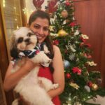 Varalaxmi Sarathkumar Instagram – Ho ho ho..
#merrychristmas 

#happyholidays 
#love #christmasdecor #christmaseve #friends #dinner