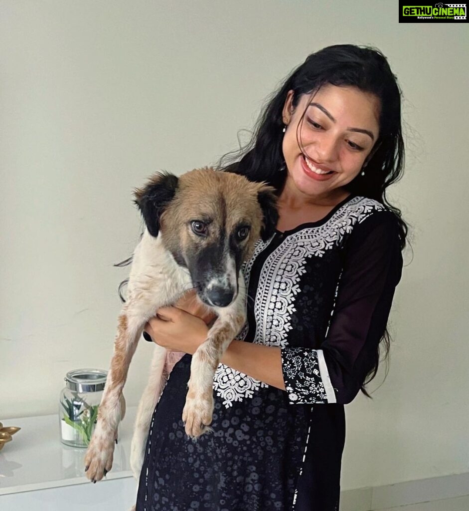 Varsha Bollamma Instagram - Meet shuku-shuku :’) Adopted her a week ago. She’s the sweetest, toughest little fighter. Someone hit her badly which resulted in a thigh bone fracture and a pelvic bone fracture. She beat tick fever not once but twice :’) and now she is home ♥️ There are a lot of doggos out there that need our help. So please #adoptdontshop ♥️ Also a big thanks to @charliesanimalrescuecentre for treating her and taking care of her ♥️