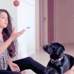 Varsha Bollamma Instagram - Hachiko turns 3 🥹♥️ This goodest, naughtiest, goofiest, cutest, stupidest boi has filled my life with so much happiness:’) Andddd there is a big surprise (not a shock hopefully 😭😰) coming his way soon!!! Guess what?