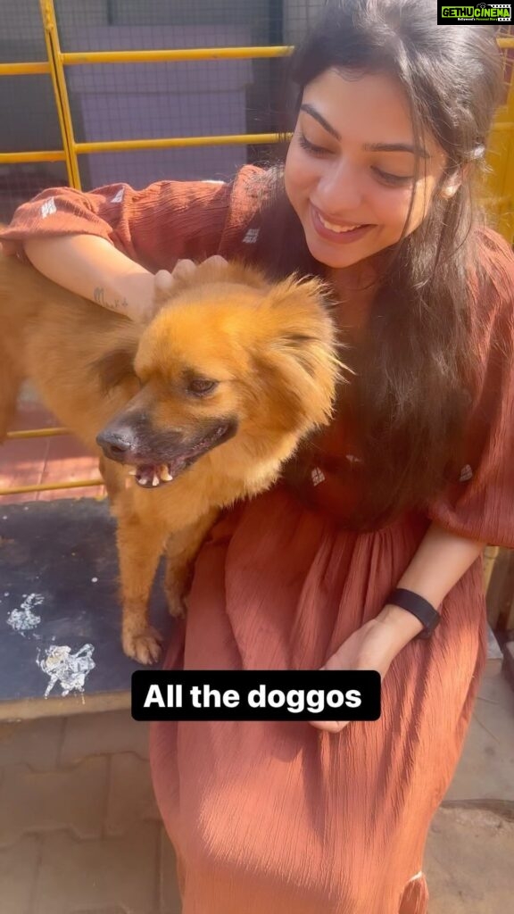 Varsha Bollamma Instagram - An appreciation post for everyone working at @charliesanimalrescuecentre :’) This place is overflowing with Love and kindness 🥹 I wish someone had emphasised on the importance of “Adopt don’t shop” before I got a doggo. The number of female dogs tortured and abandoned by breeders after being used for years was heartbreaking to see :( All the Dogs abandoned by owners/breeders, dogs tortured on streets, dogs run over by vehicles had one thing in common - The love in their eyes :’) So grateful to Keerthan and Sudha Ma’am for letting me in and sharing their joy with me ♥️ Can’t wait to meet the “Gangs of charliepur” again :’) And my favourite - blacky, the cutie 🥹♥️ #adoptdontshop #indies