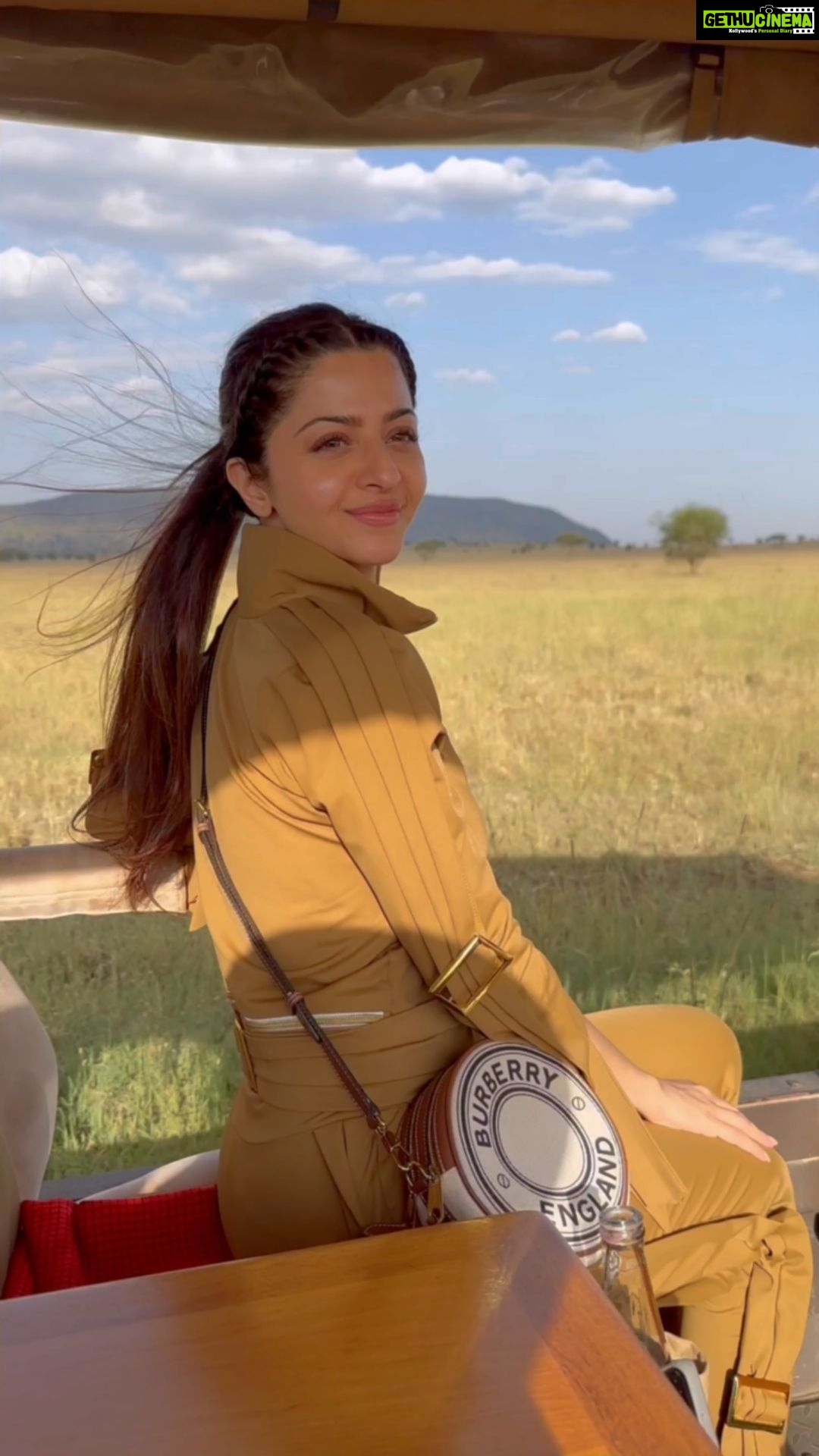 Vedhika Instagram - Truly one with Nature @onenaturehotels 🦁🦏🐆🦓🦛Incredible daily Game Drives with our terrific guide Edward🦒 #Serengeti #Africa #Tanzania #SerengetiNationalPark One Nature Hotels and Resorts