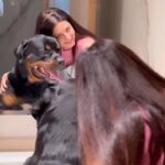 Vedhika Instagram - With my Gundieee Boy my Boy Boy @oscarkumar_rottweilier 🧿🪬♥️ JW Marriott Bengaluru Prestige Golfshire Resort & Spa