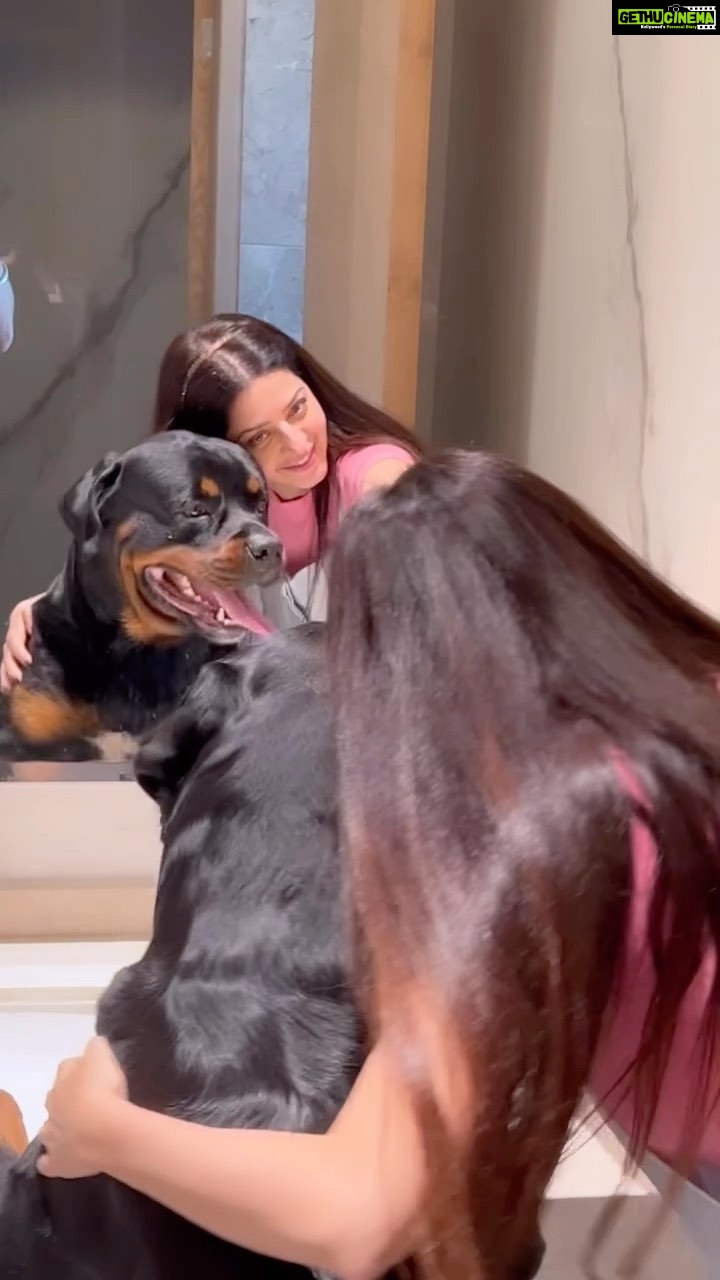 Vedhika Instagram - With my Gundieee Boy my Boy Boy @oscarkumar_rottweilier 🧿🪬♥️ JW Marriott Bengaluru Prestige Golfshire Resort & Spa