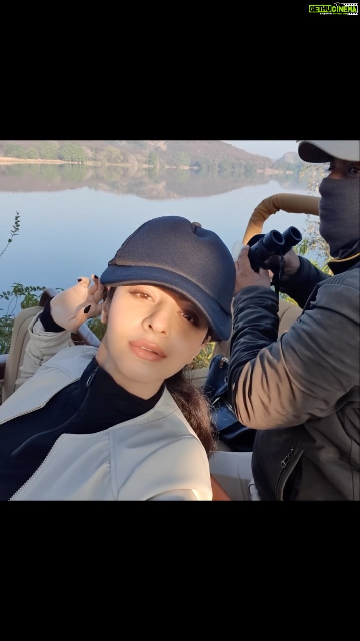 Vedhika Instagram - Going Wild 🐅 Ranthambore National Park