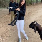 Vedhika Instagram - Adventure is out there #Ranthambore