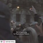 Vedhika Instagram - #JusticeforMarshallandMillions Video by @animal.rising