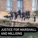 Vedhika Instagram - Two young dogs Marshall and Millions (one was 9 months puppy and the other 3 years young adult) were brutally shot dead while on LEASH by around 7 Police Men in the UK. Why were they shot when the poor scared dogs were not even attacking the police and did not cause any danger to the public and were on a leash ???? Such a dangerous and horrific act by the Police. What times are we living in ? So so Barbaric! No animal should bear the brunt of such atrocities. The people responsible for this should be brutally punished!! Such Dangerous mindless cowards with weapons should not be allowed to roam the streets freely @world_animal_protection_uk @aspca @bbcnews @peta @petauk . My heart goes out to the dad of Marshall and Millions Louise Turnball 💔 May the Almighty heal him and give him strength ❤️ P.S I do not have the heart to share the video of the killing . If you dont want to live in an illusionary world pls go watch it and watch the real atrocity happening in the video and this world on the two innocent dogs and Louise Turnball!! God please bless the poor souls and hopefully Marshall and Millions are in a better world with You 🙏💔💔💔💔💔💔💔 #justiceformarshallandmillions